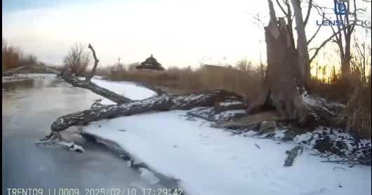 Trenton Police Rescue Dog From Frozen Canal