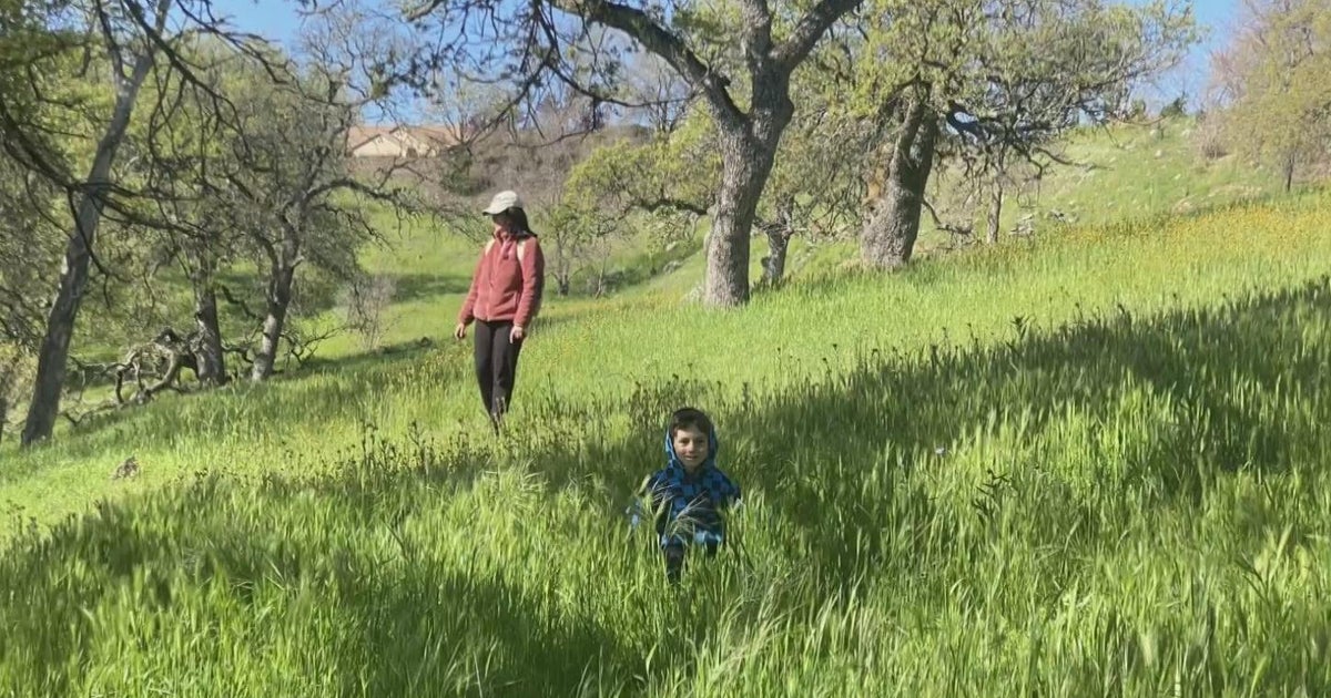 Rocklin boy pleads to save local nature area