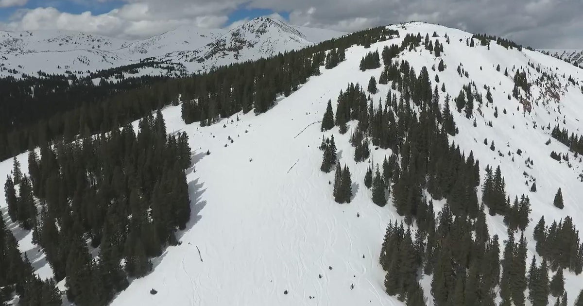 Colorado's forest now emitting more carbon than it absorbs, CSU ...