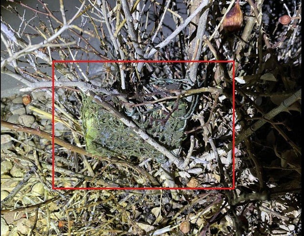 lone-tree-camera2-from-police.jpg 