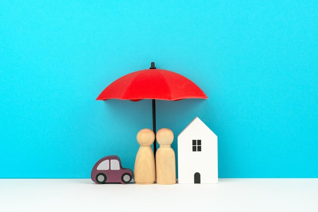 Family Protection Concept 