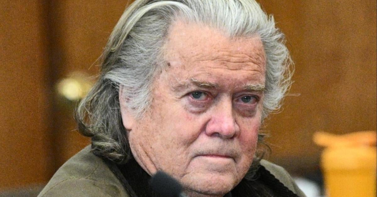 Is Steve Bannon's plea deal lenient and what does it entail?