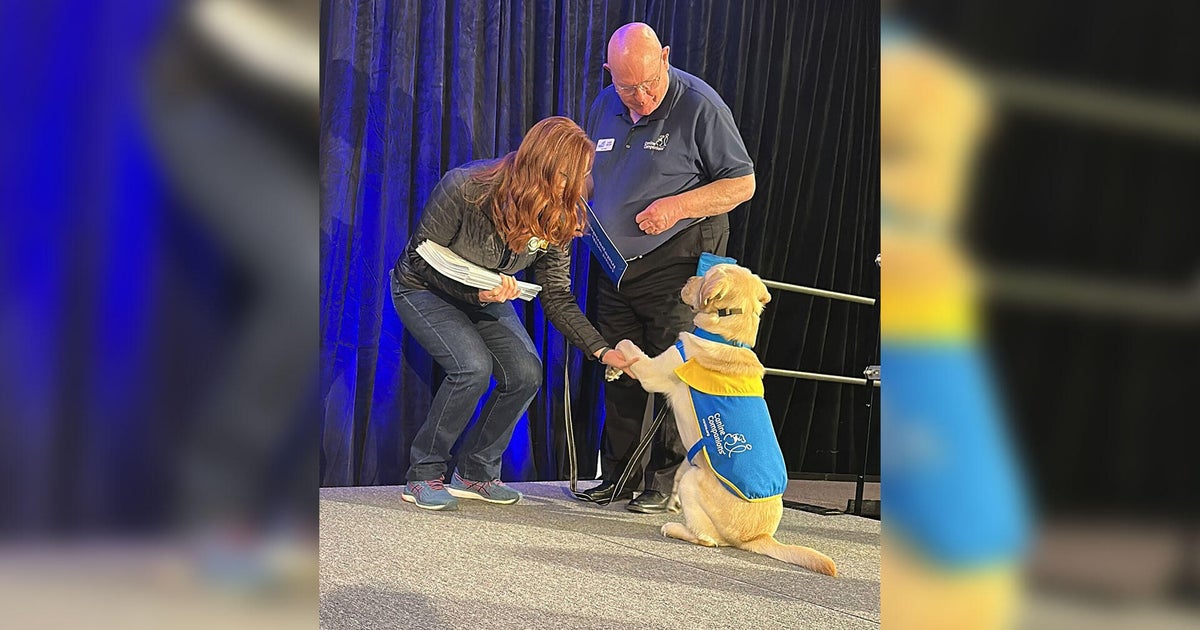 Lonestar begins professional service dog training at Canine Companions facility Lonestar begins professional service dog training at Canine Companions facility