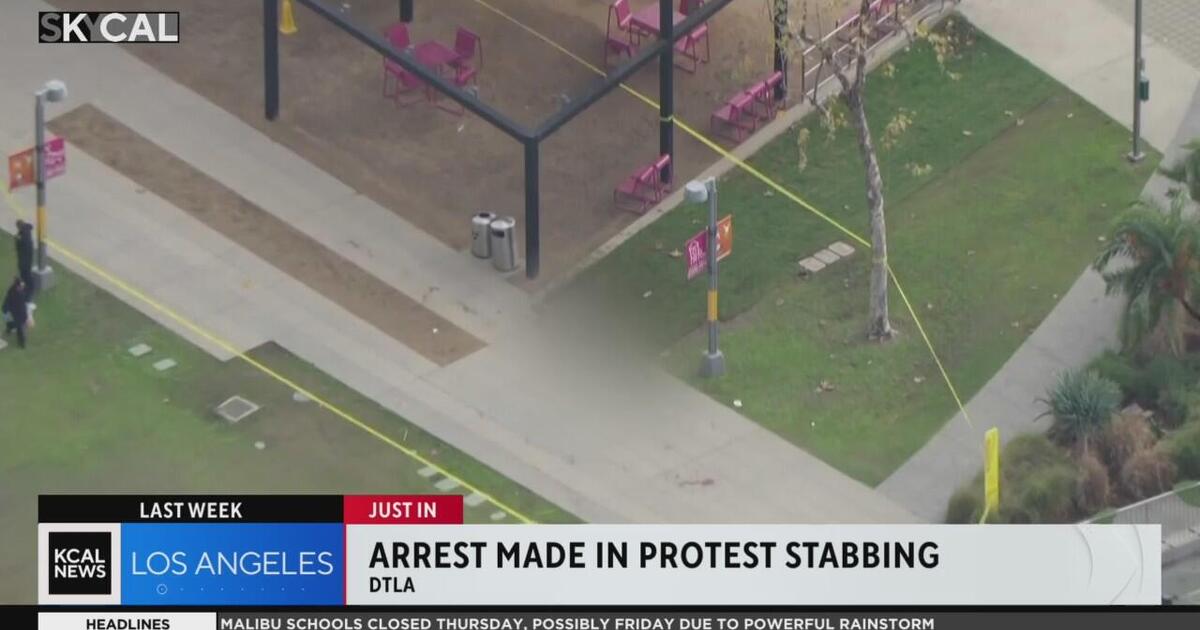 14-Year-Old Arrested for Stabbing at LA Protest