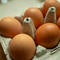 U.S. considers increasing egg imports amid skyrocketing prices