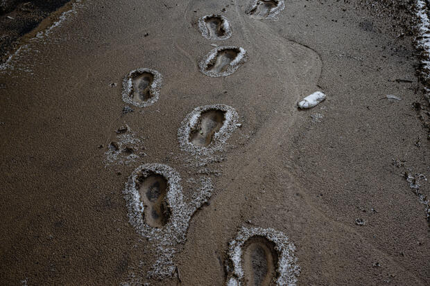 Frost-lined bootprints are seen in the mud brought by floodwaters in Neon, Kentucky, Feb. 17, 2025. 