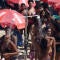 Rio de Janeiro records its hottest day in at least a decade