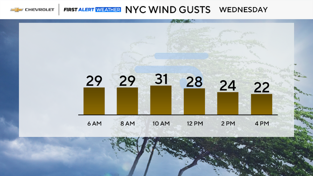 fa-wind-gust-hourly-auto.png 