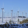 Global green energy exceeds coal power for first time ever, study finds 