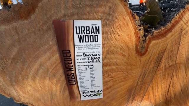 urban wood for guitars