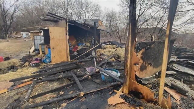 Fire at horse stable in Southwest Philadelphia 