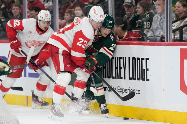 Red Wings Wild Hockey 