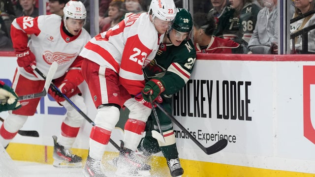 Red Wings Wild Hockey