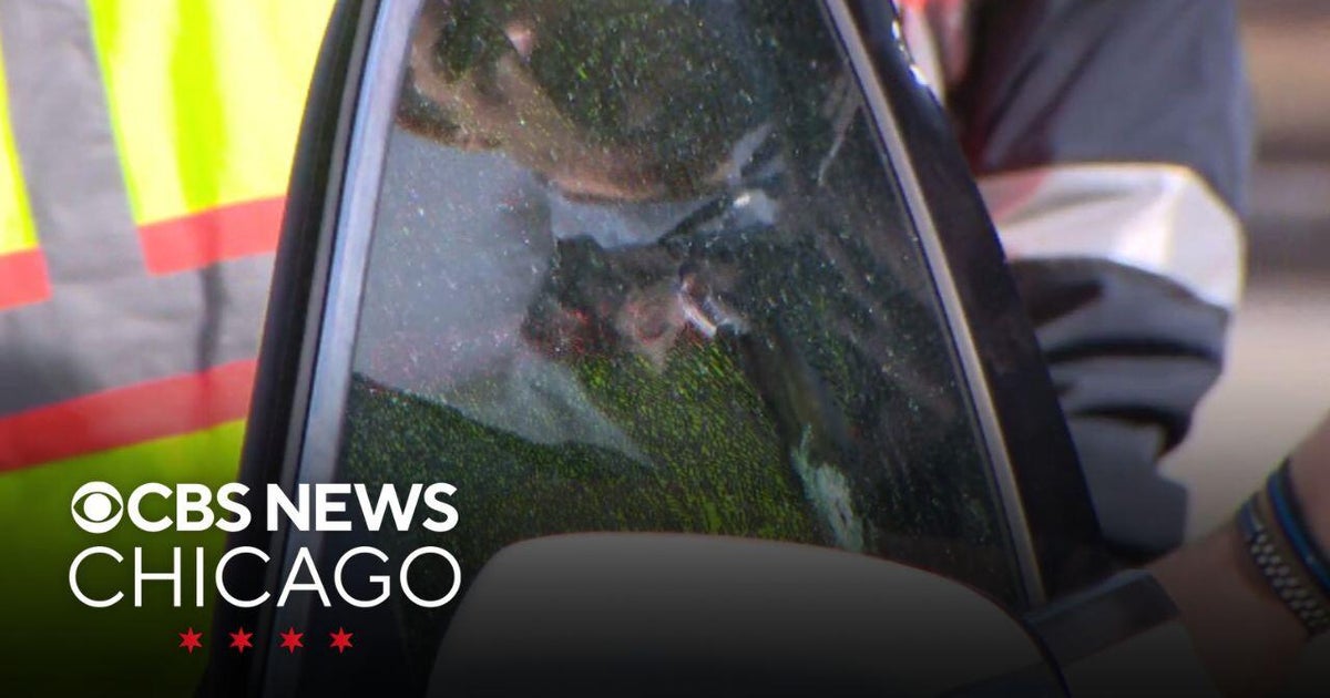 Woman nearly hit by gunfire while driving on DuSable Lake Shore Drive ...