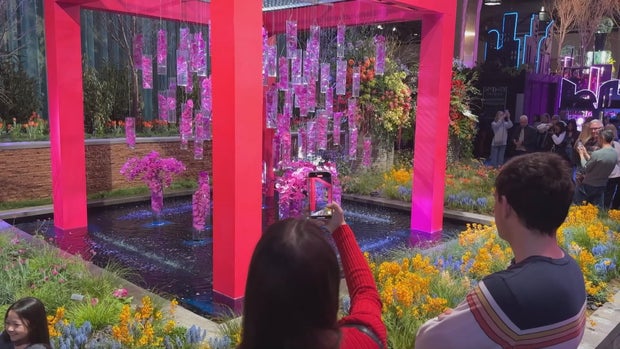 Philadelphia Flower Show blooms with fashion, art and breathtaking installations