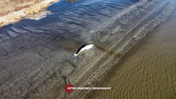 dji-fly-20250302-091038-209-1740924684514-photo-optimized.jpg 