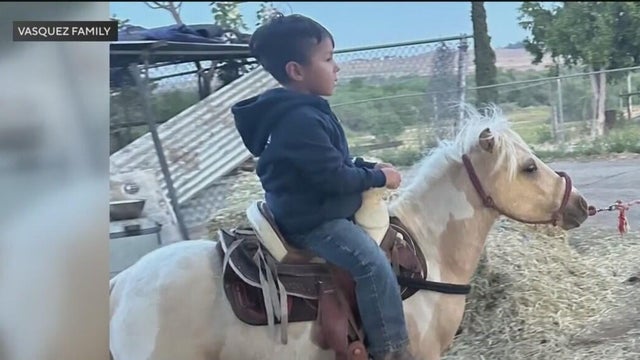 stolen-pony.jpg