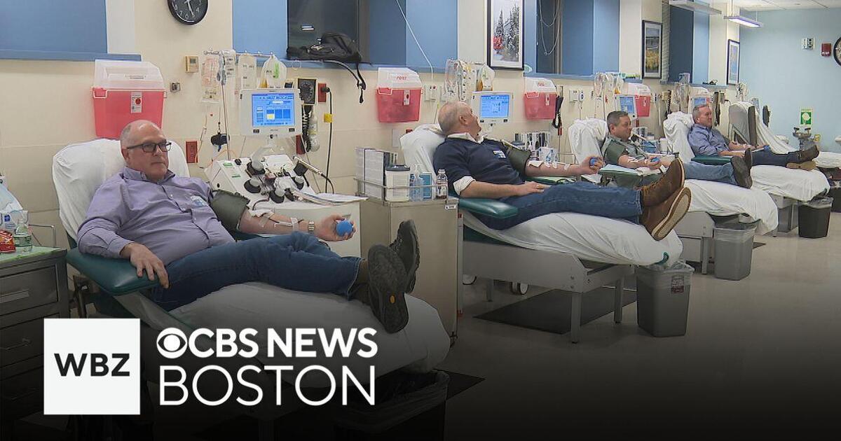 Four friends committed to bi-monthly platelet donation in Boston