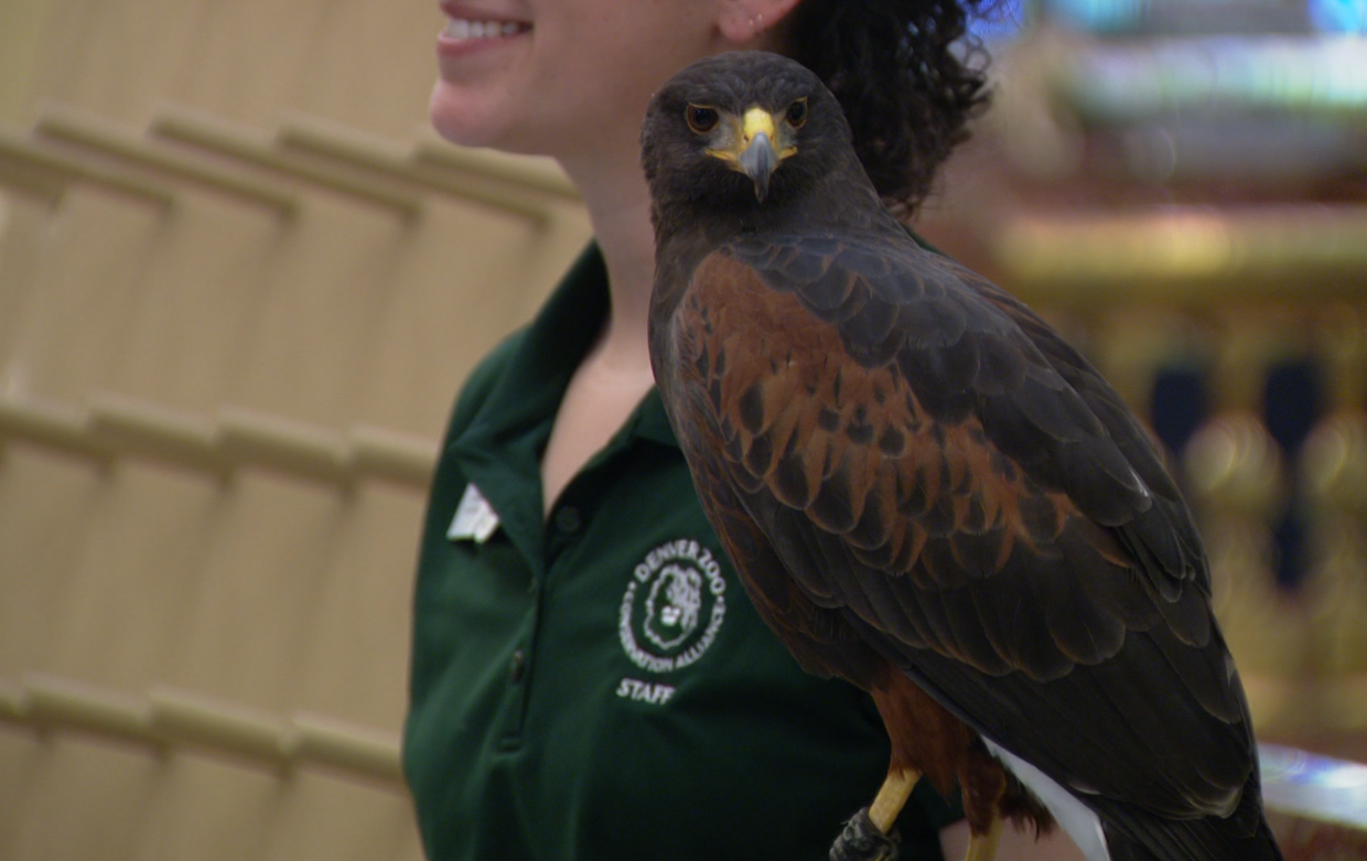 zoo-day-at-the-capitol4.png 