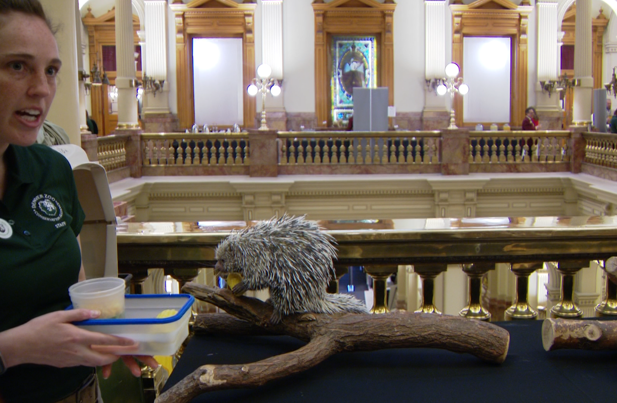 zoo-day-at-the-capitol5.png 