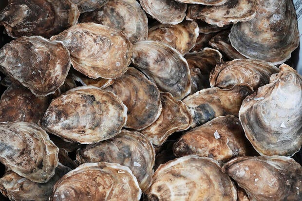 Small Business Tariffs Pricier Oysters 