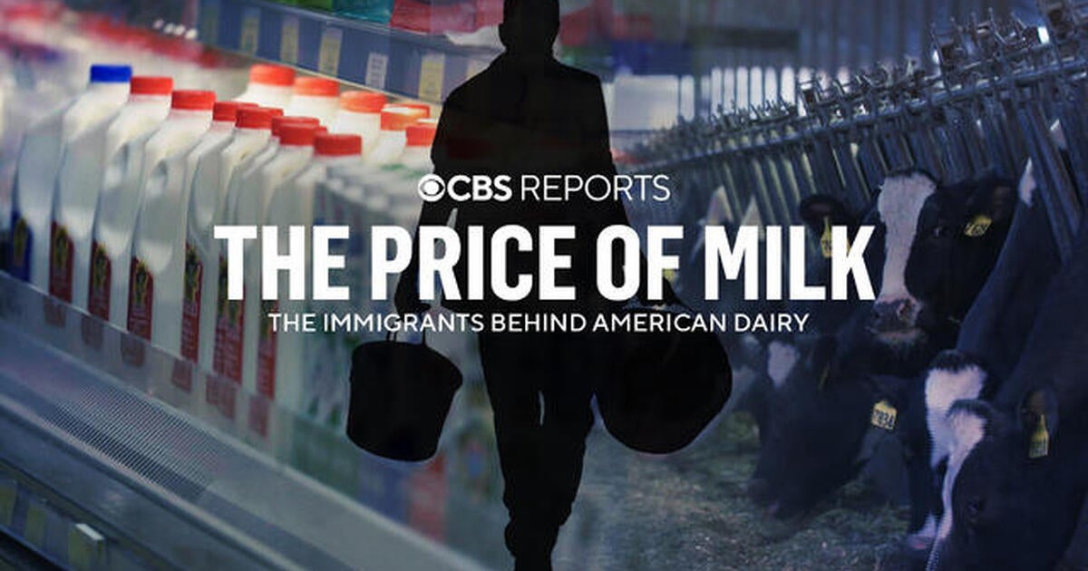 The Price of Milk: Immigrants Behind American Dairy | CBS Reports