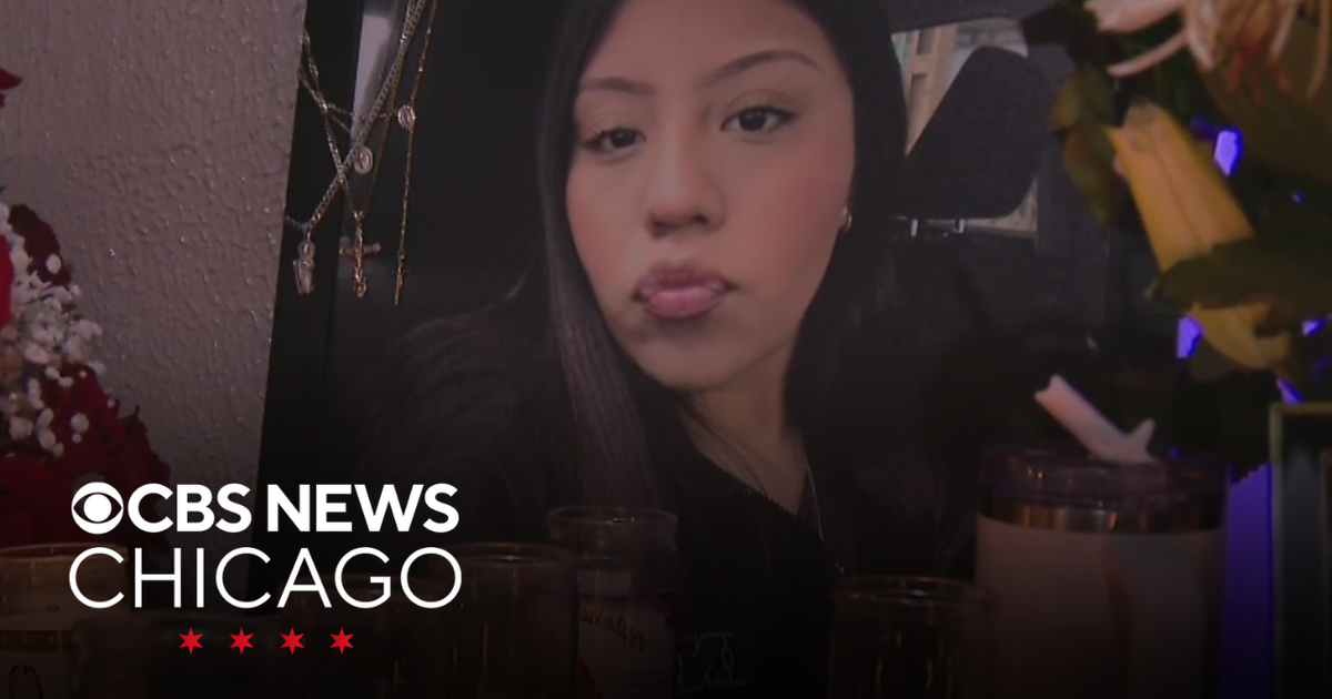 Family, boyfriend mourn Chicago woman killed in suburban nightclub ...