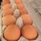 Justice Department investigating egg pricing allegations, sources say