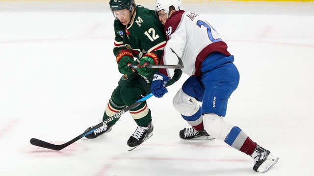 Avalanche Wild Hockey 