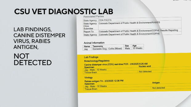 mamco-vs-state-6pkg-transfer-frame-3318.jpg 