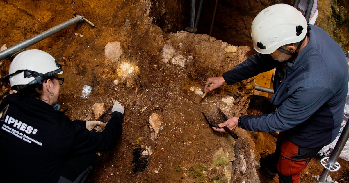 Earliest human face fossil from Western Europe revealed in study