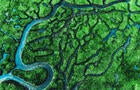 Beautiful aerial view of meander river with affluents and green vegetation. 