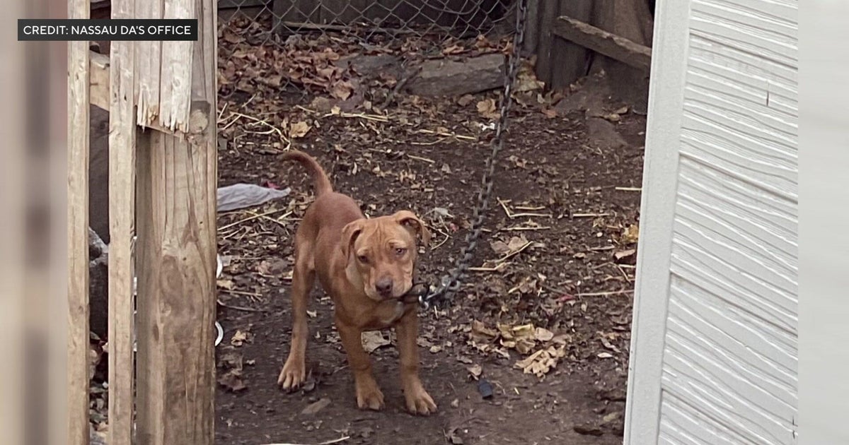 Long Island man indicted for fentanyl distribution, dog fighting