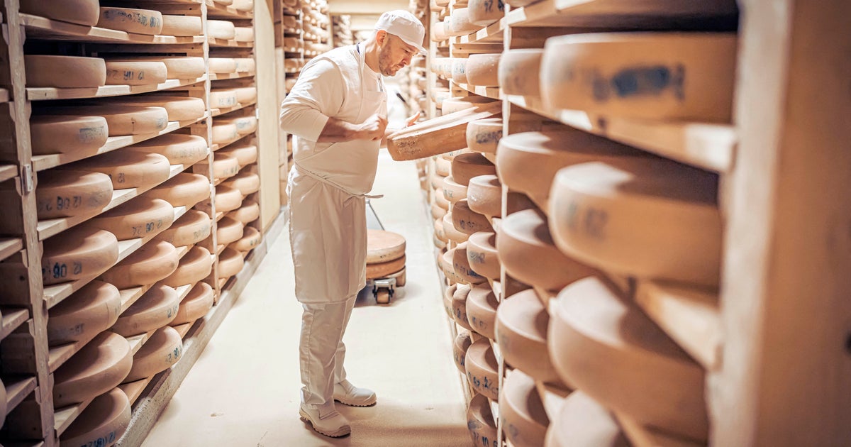 Calling all cheese lovers: University of Wisconsin – River Falls now offers a cheesemaking course Calling all cheese lovers: University of Wisconsin – River Falls now offers a cheesemaking course