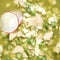 "The Dish: Recipe": How to make pozole con pollo