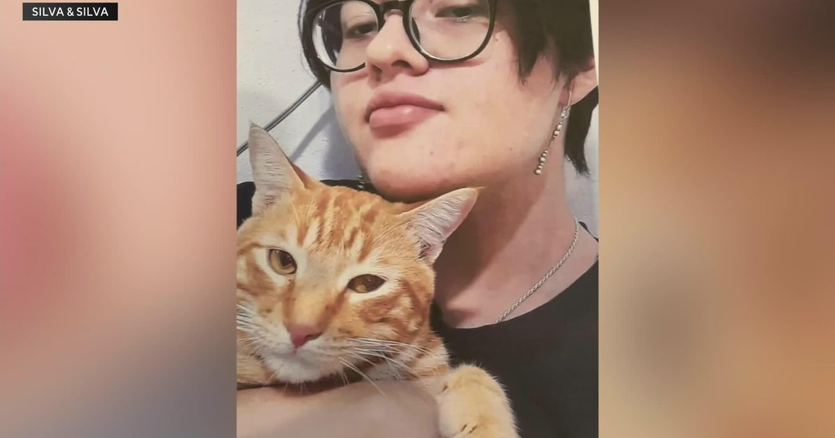 Miami family seeks answers after police cruiser crash kills 24-year-old woman Miami family seeks answers after police cruiser crash kills 24-year-old woman