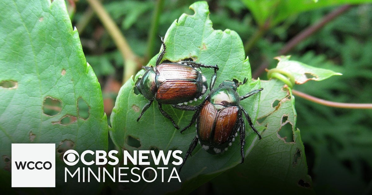 You can get involved in the fight against invasive species — here's how ...