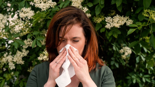 A redhead woman suffers from hay fever and sneezes into a handkerchief 