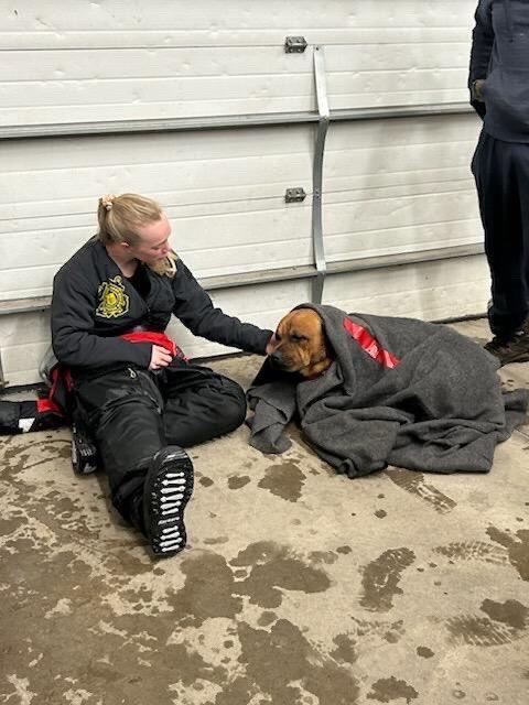 coast-guard-dog-rescue-2.jpg 