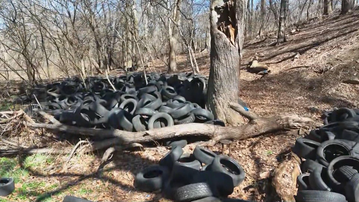 More than 4,000 tires were illegally dumped in Tacony Creek Park 