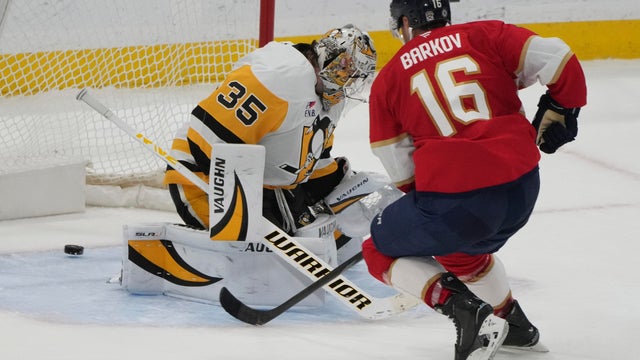 Penguins Panthers Hockey