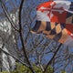 $1.6 million Maryland grant program aims to improve access to substance use resources 