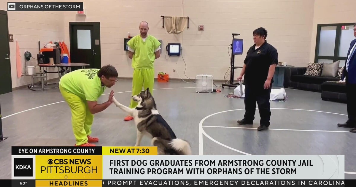 First dog graduates from 