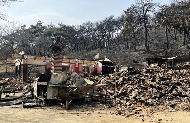 Burnt Unramsa temple is pictured after a wildfire devastated the area in Uiseong 