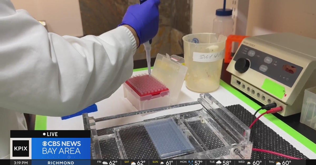 Bay Area lab utilizes AI in search for next effective weight loss drug ...