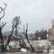 California fire cleanup crews tackle toxic waste, unstable batteries