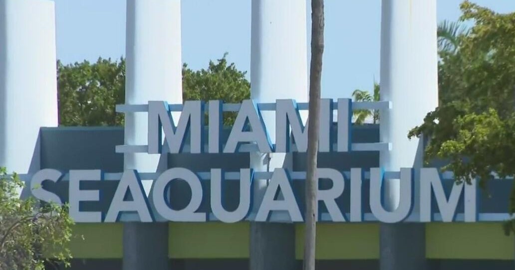 Miami Seaquarium parent company files for bankruptcy