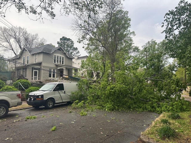 A tree fell and knocked down power lines and blocked a street in a residential neighborhood during storms on April 2, 2025, in Memphis, Tennessee. 