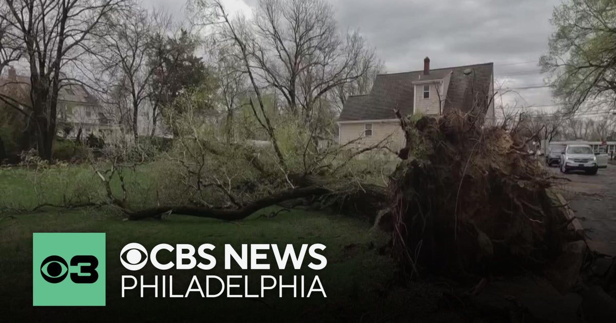 Trees topple, power lines catch fire and gas line ruptures in ...
