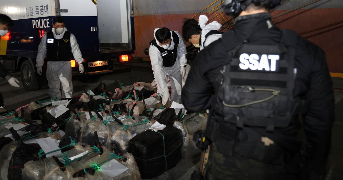 Drug-sniffing dogs help find record haul of cocaine hidden on ship